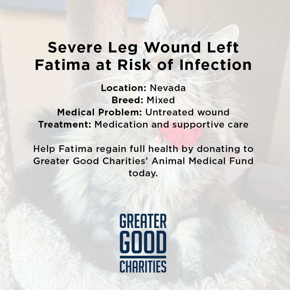 Fatima's Severe Leg Wound Needs Urgent Care