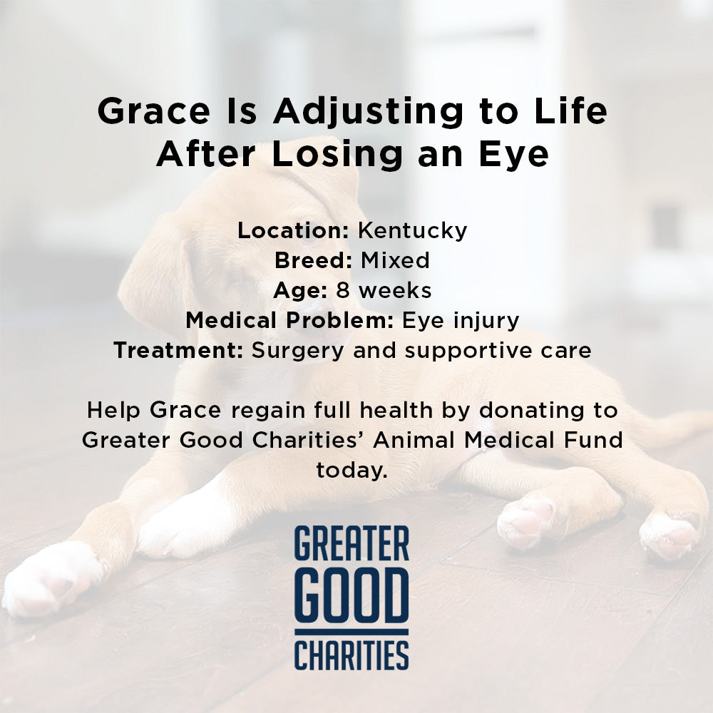 Grace Was Attacked by a Dog - Now She’s Fighting to Heal