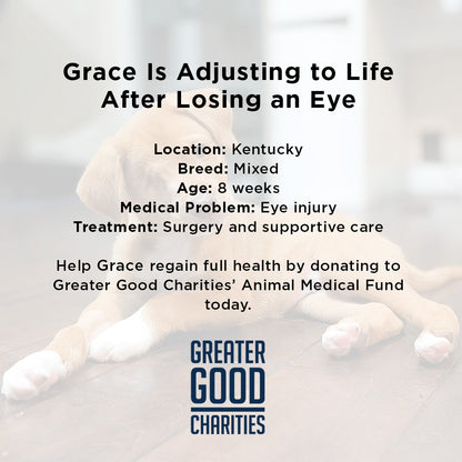 Grace Was Attacked by a Dog - Now She’s Fighting to Heal