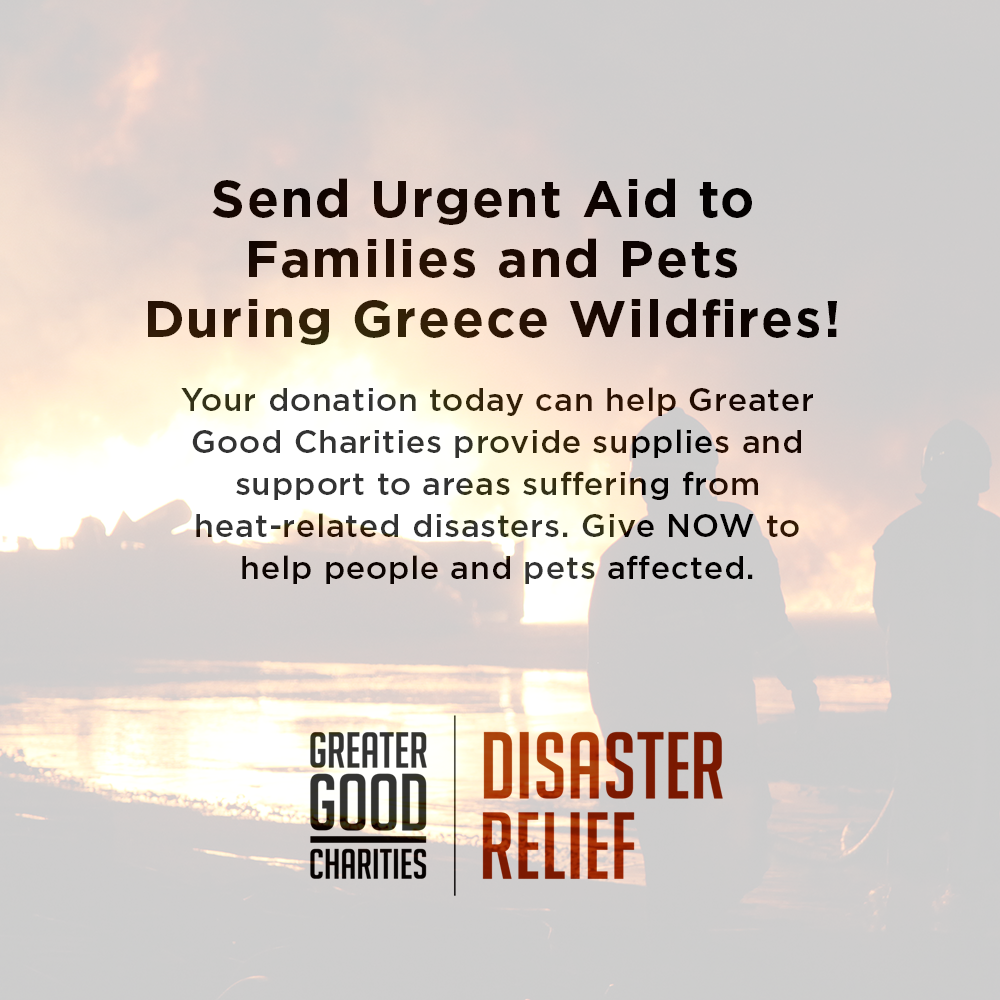 Send Urgent Aid to Families and Pets During Greece Wildfires
