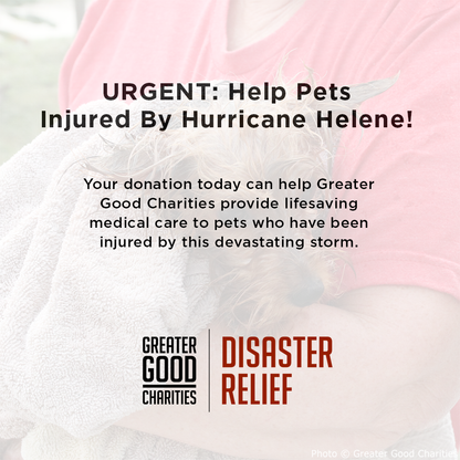 URGENT: Help Pets Injured by Hurricane Helene