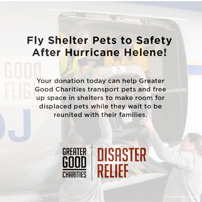 URGENT: Fly Shelter Pets to Safety After Hurricane Helene