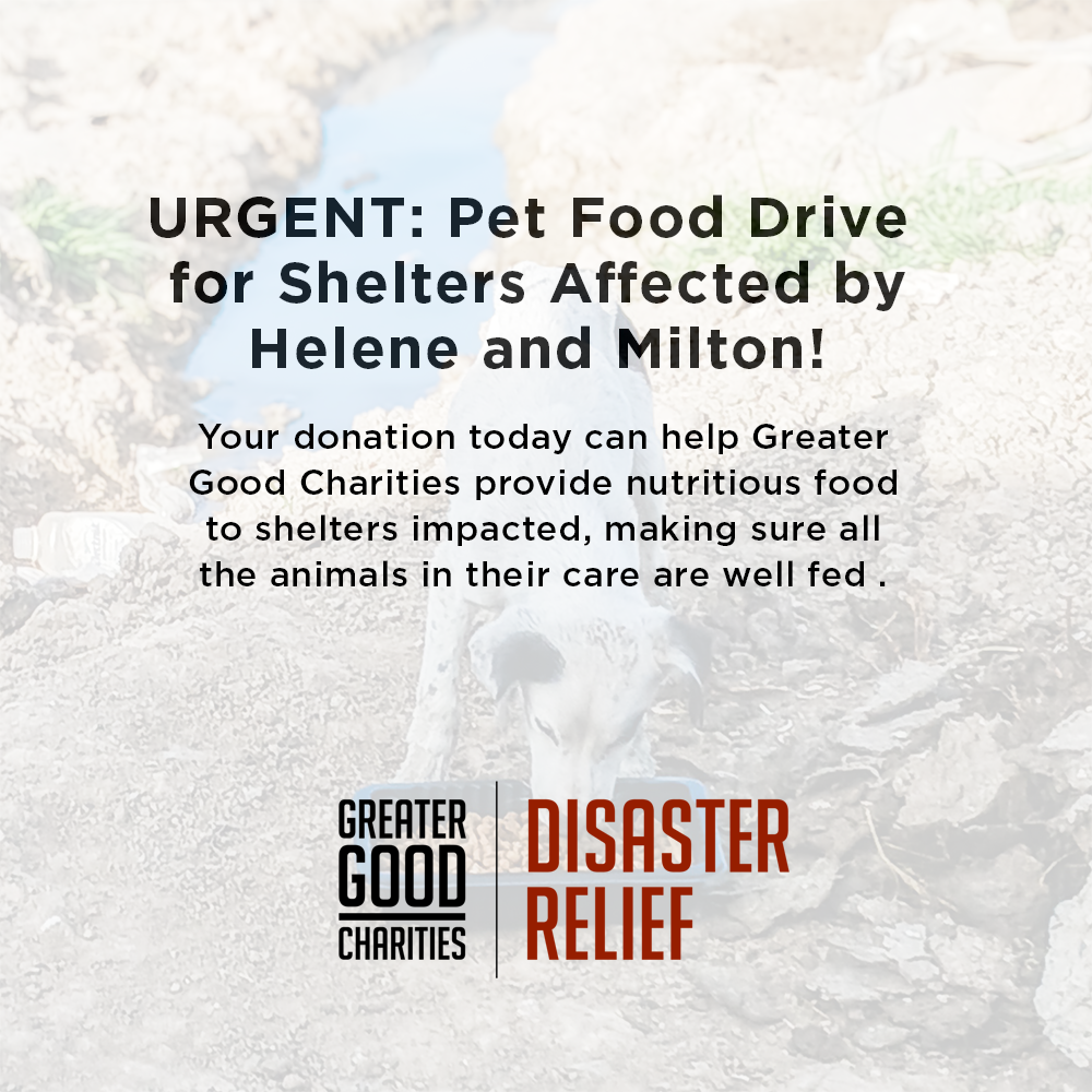 URGENT: Pet Food Drive for Shelters Affected by Helene and Milton