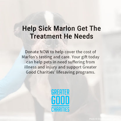 Funded: Help Sick Marlon Get the Treatment He Needs