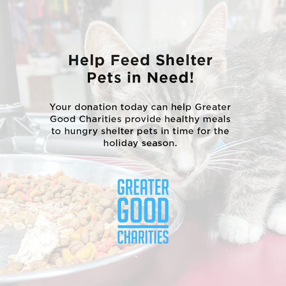 Holiday Food Drive: Feed Shelter Pets in Need