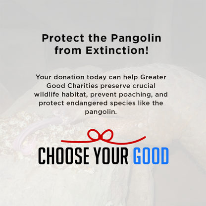 Protect the Pangolin this Holiday Season