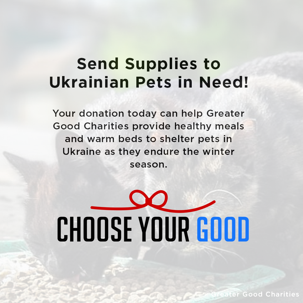 Ukraine Crisis: Feed Pets in Need