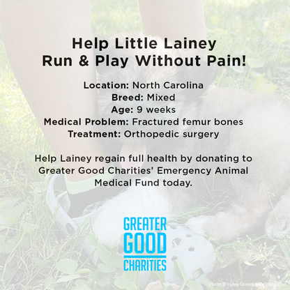 Help Little Lainey Run & Play Without Pain