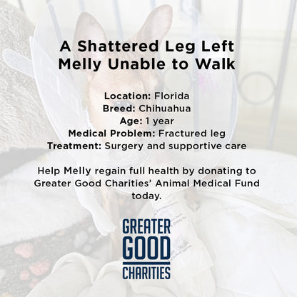 Melly’s Leg Is Shattered - She Needs Urgent Surgery to Walk Again