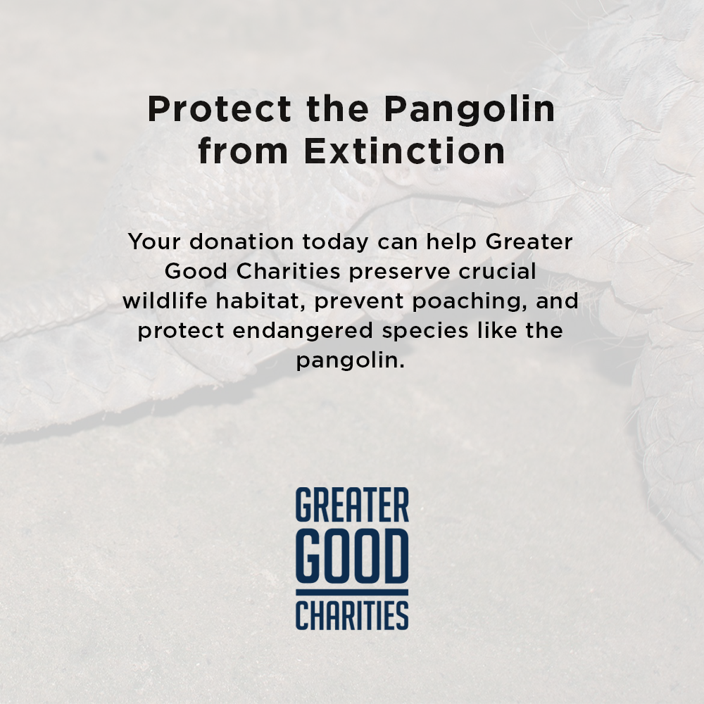 Protect the Pangolin from Extinction