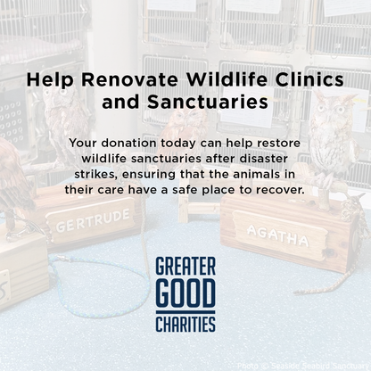 Help Renovate Wildlife Clinics and Sanctuaries