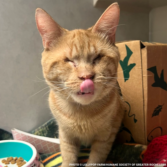 Help Arnold Navigate a New Life After So Much Loss