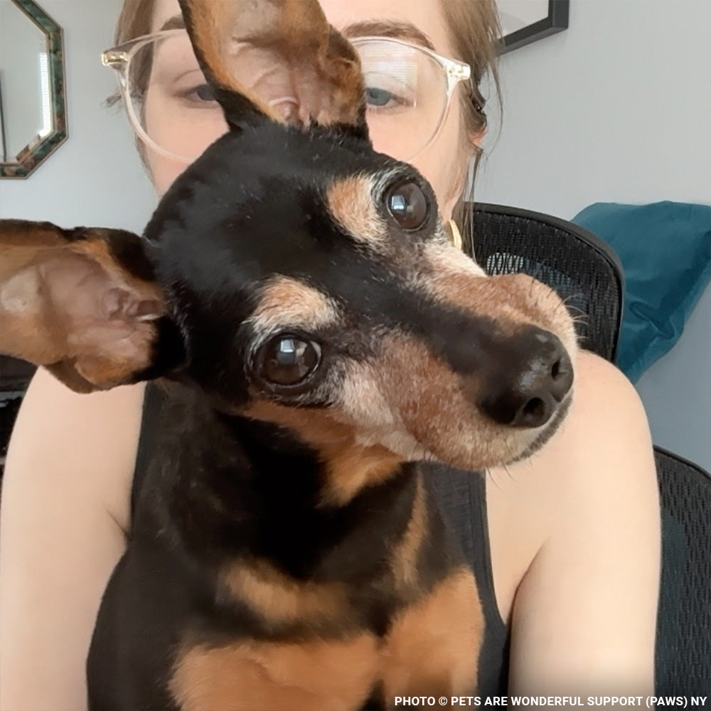 Every Breath Is a Fight - This Dog Needs Help Now