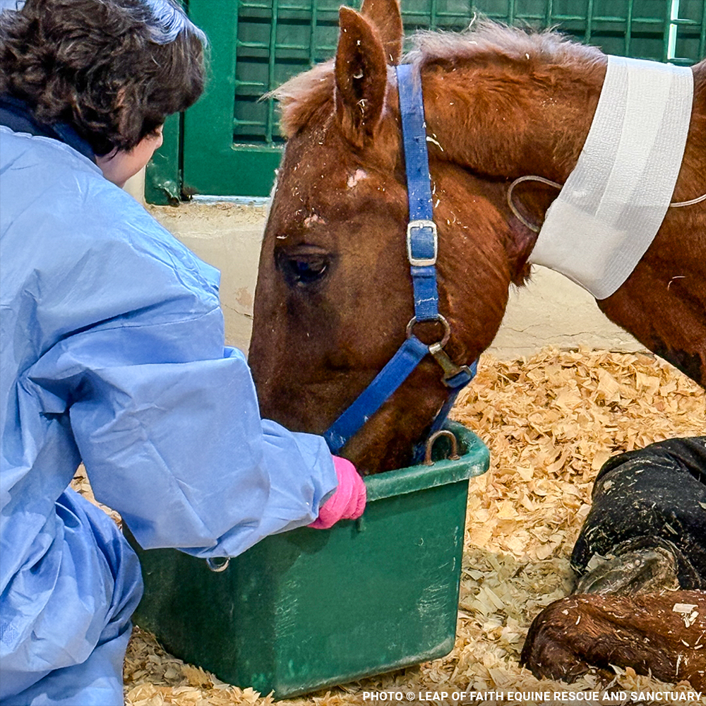 Convict Unable to Walk or Stand Without Excruciating Pain Needs Your Help