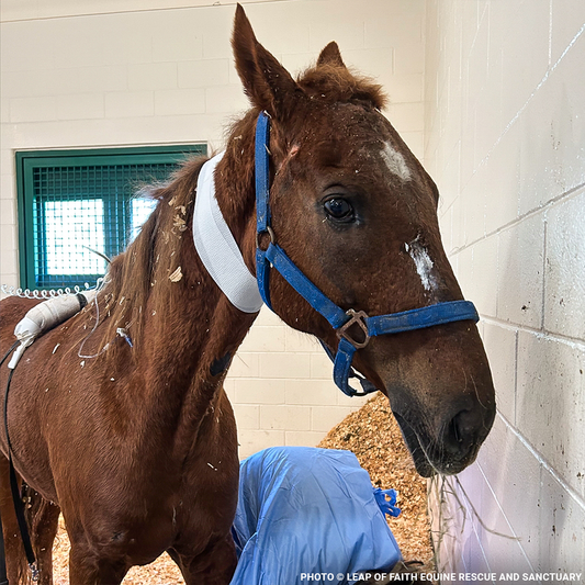 Convict Unable to Walk or Stand Without Excruciating Pain Needs Your Help