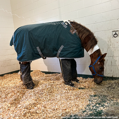 Convict Unable to Walk or Stand Without Excruciating Pain Needs Your Help