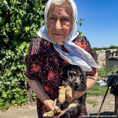 Crisis in Ukraine: Give Warmth to People and Pets this Winter