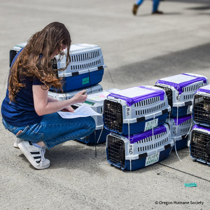 Emergency Flight to Freedom: Fly Shelter Pets Out of California Wildfires