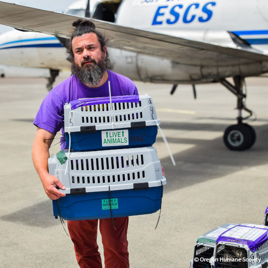 Emergency Flight to Freedom: Fly Shelter Pets Out of California Wildfires