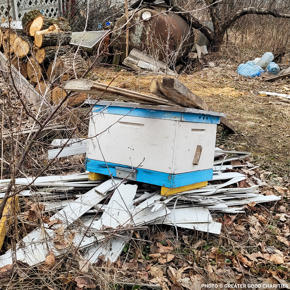 URGENT: Help Feed Starving Bees Affected by Georgia Wildfire