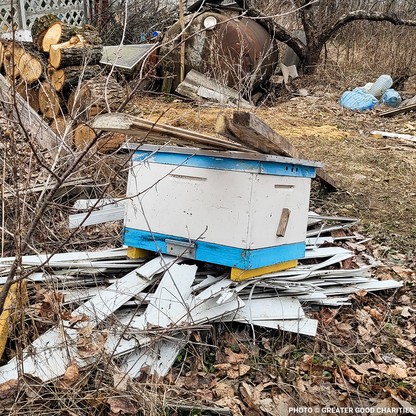 URGENT: Help Feed Starving Bees Affected by Georgia Wildfire
