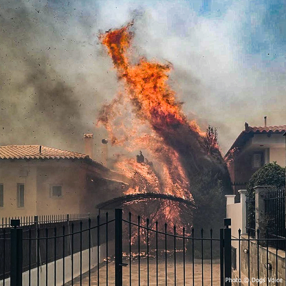 Send Urgent Aid to Families and Pets Impacted By Greece Wildfires