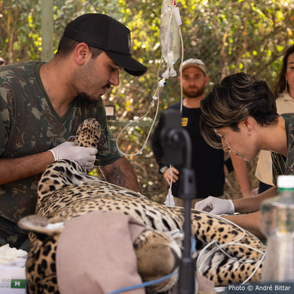 Help Where It's Most Needed