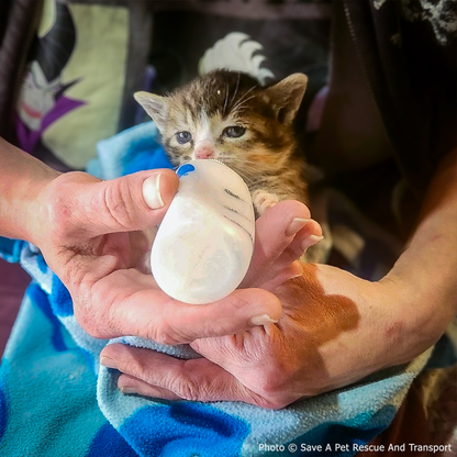 Help Where It's Most Needed