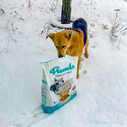 Ukraine Crisis: Feed Pets in Need