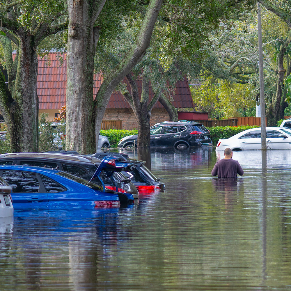 Hurricane Isaias Smashes Into the Gulf Coast: Rush Aid to People & Pets