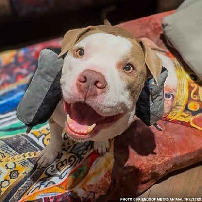National Feed a Rescue Pet Week - Provide 3 Million Meals for Pets in Need