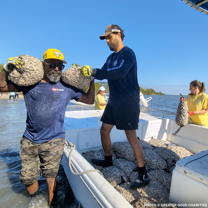 Restore Destroyed Shorelines & Coastal Habitats