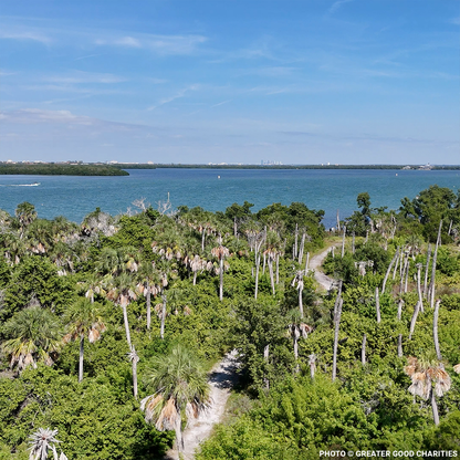 Restore Destroyed Shorelines & Coastal Habitats