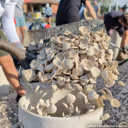 Restore Destroyed Shorelines & Coastal Habitats