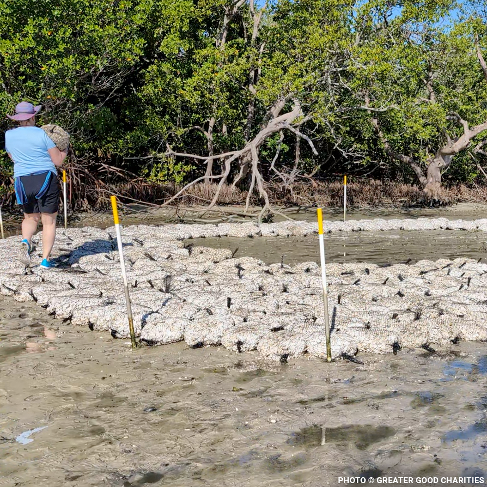 Restore Destroyed Shorelines & Coastal Habitats