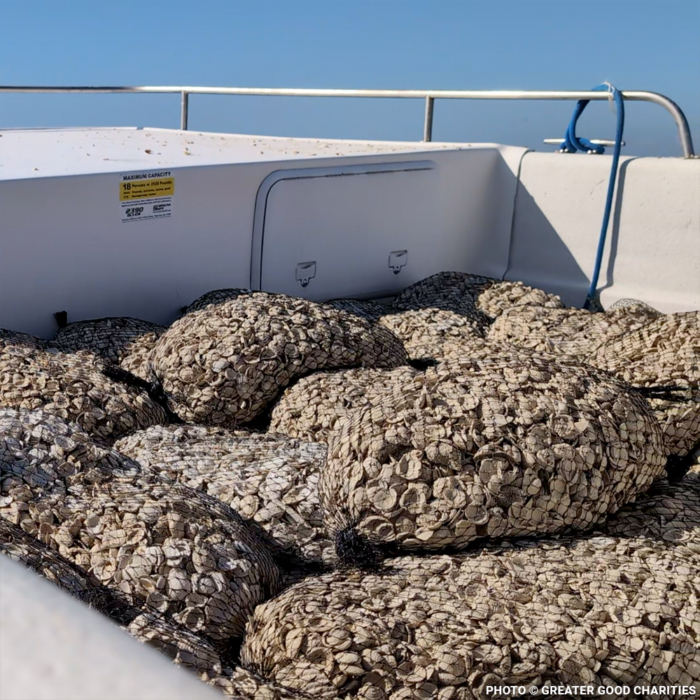 Restore Destroyed Shorelines & Coastal Habitats