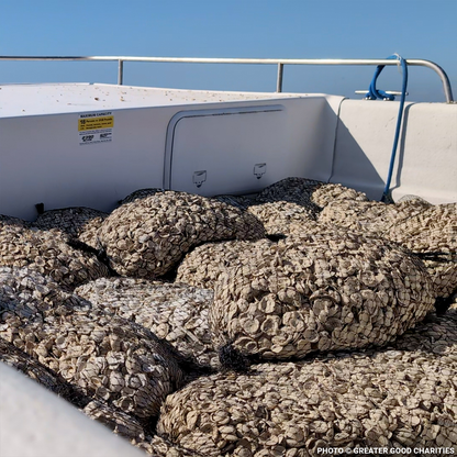 Restore Destroyed Shorelines & Coastal Habitats