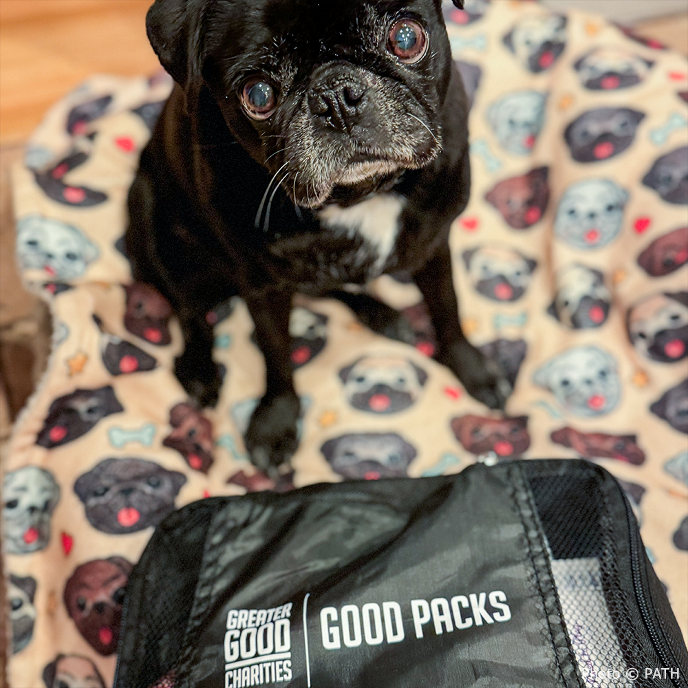 SNAP Payments On Hold: Keep Families and Their Pets Fed