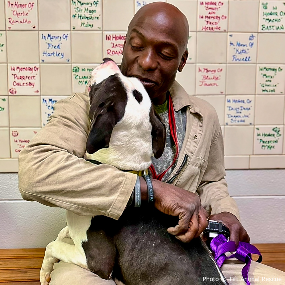 SNAP Payments On Hold: Keep Families and Their Pets Fed