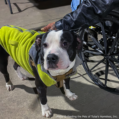 SNAP Payments On Hold: Keep Families and Their Pets Fed