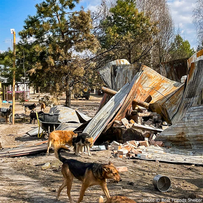 Rebuilding After Missile Strike Damage - Ukrainian Families Need Your Help