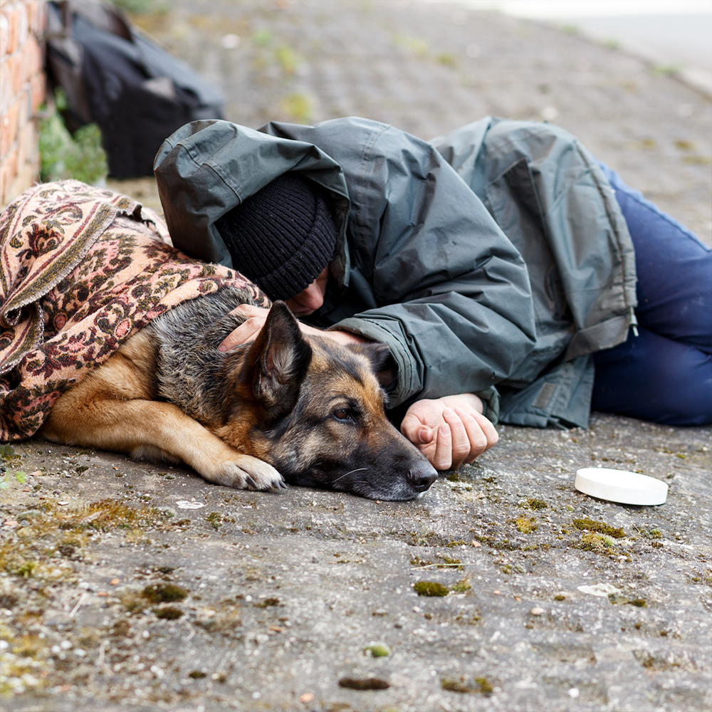 maui-humane-society-312 | GreaterGood