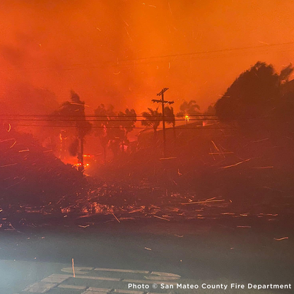 Emergency Flight to Freedom: Fly Shelter Pets Out of California Wildfires