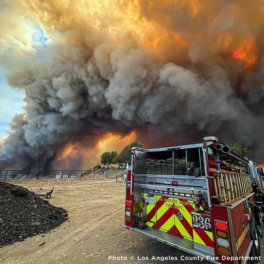 Crisis in California: Rush Aid to People & Pets Devastated by Wildfires