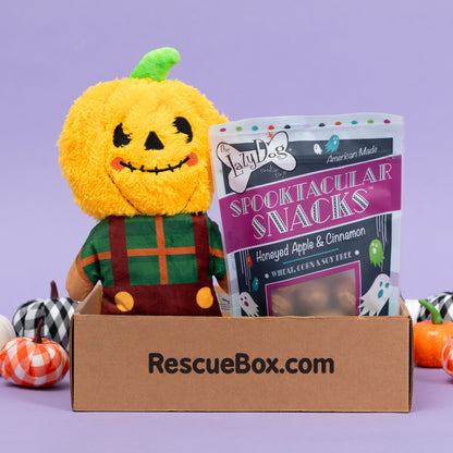 RescueBox&reg; - Spoil Your Pet, Help Animals In Need