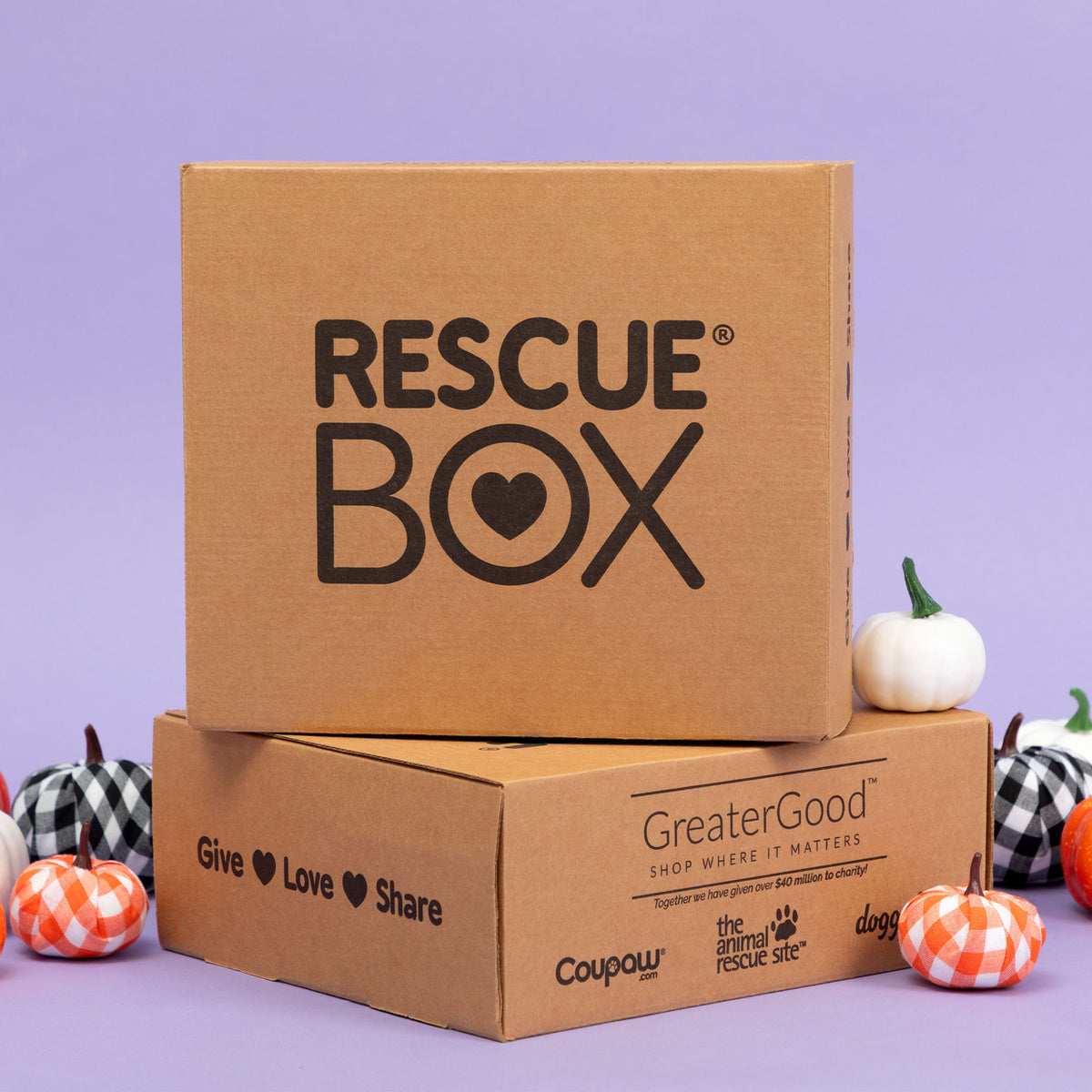 RescueBox&reg; - Spoil Your Pet, Help Animals In Need