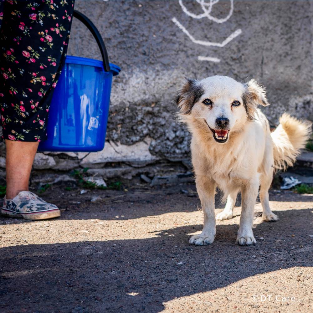 Relief Kits Urgently Needed For Families in War-Torn Ukraine