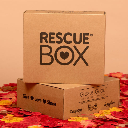 RescueBox&reg; - Spoil Your Pet, Help Animals In Need