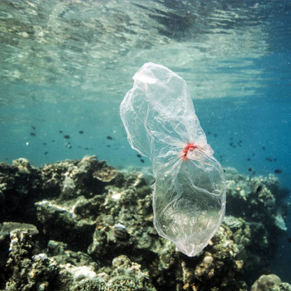 Help Save Our Oceans