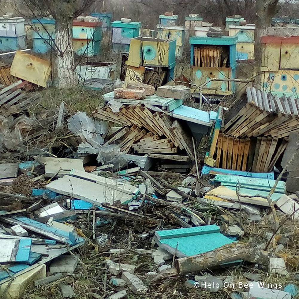 Help Save Bees Devastated by War in Ukraine